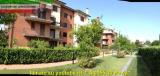 Affitto, Appartamento, PAVIA, 600 €, 50,00 mq