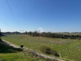 Particella, BARDOLINO, 420.000 €, 29245,00 mq