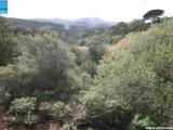 Particella, ARZACHENA, 80.000 €, 9000,00 mq