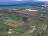 Particella, SCARLINO, 65.000 €, 24800,00 mq
