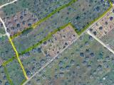 Particella, MONTERONI DI LECCE, 38.000 €, 12000,00 mq