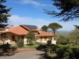 Affitto, Casa, MARINO, 1.450 €, 200,00 mq