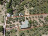 Particella, MENTANA, 70.000 €, 3200,00 mq