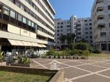 Appartamento, LECCE, <i>A richiesta</i>, 150,00 mq