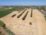 Particella, MONTALTO DI CASTRO, 180.000 €