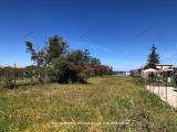 Particella, CAMPOFELICE DI ROCCELLA, 90.000 €, 1896,00 mq