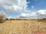 Particella, ISPICA, 20.000 €, 7200,00 mq