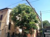 Appartamento, BOLOGNA, Mazzini, 225.000 €, 40,00 mq