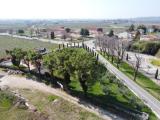 Particella, COLOGNOLA AI COLLI, 285.000 €, 1500,00 mq