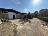 Superfici commerciali, TUSCANIA, 135.000 €, 200,00 mq