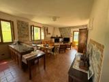 Particella, CAMPAGNATICO, 415.000 €, 220,00 mq