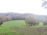 Particella, CANALE MONTERANO, 59.000 €, 24500,00 mq