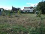 Particella, SPOLETO, 93.500 €, 1850,00 mq