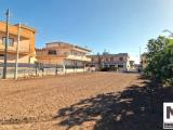 Particella, MONDRAGONE, 70.000 €, 1000,00 mq