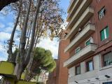 Appartamento, ROMA, Prenestino, 379.000 €, 110,00 mq