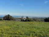 Particella, POLIGNANO A MARE, 38.000 €, 10191,00 mq