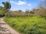 Particella, MONREALE, 30.000 €, 2200,00 mq