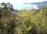 Particella, RAPALLO, 140.000 €, 130,00 mq