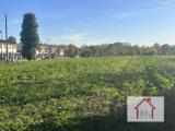 Particella, NERVESA DELLA BATTAGLIA, 125.000 €, 5000,00 mq