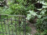 Affitto, Appartamento, MILANO, 900 €, 65,00 mq