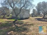 Casa, SAN VITO DEI NORMANNI, 35.000 €, 25,00 mq