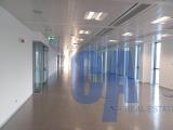 Affitto, Superfici commerciali, PALMANOVA, 33.916 €, 1850,00 mq