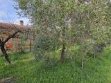 Particella, GROSSETO, 55.000 €, 1300,00 mq