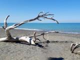 Appartamento, BIBBONA, 200.000 €, 70,00 mq