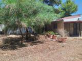 Casa, GALLIPOLI, 249.000 €, 60,00 mq
