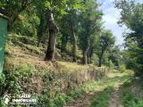 Particella, MONTEFORTE IRPINO, <i>A richiesta</i>, 1400,00 mq