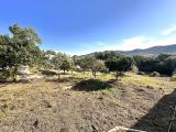 Particella, LOIRI PORTO SAN PAOLO, 107.000 €, 1334,00 mq