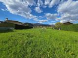 Particella, BASSANO DEL GRAPPA, 185.000 €, 1178,00 mq