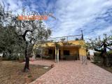 Casa, VIESTE, <i>A richiesta</i>, 220,00 mq