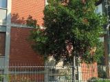 Affitto, Appartamento, PIACENZA, 750 €, 100,00 mq