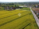Particella, PONTEDERA, 560.000 €