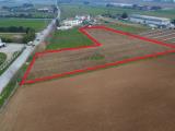 Particella, VILLAFRANCA DI VERONA, 50.000 €, 9831,00 mq