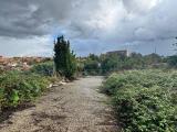 Particella, ROMA, 60.000 €, 1175,00 mq