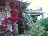 Appartamento, VELLETRI, 195.000 €, 175,00 mq