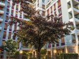 Appartamento, MILANO, 325.000 €, 42,00 mq