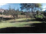 Particella, ALESSANDRIA, 58.000 €, 1500,00 mq