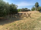 Particella, MONTESILVANO, 79.000 €, 1528,00 mq