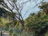 Appartamento, MARCIANA, 728.000 €, 243,00 mq