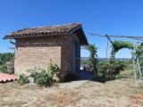 Particella, NIZZA MONFERRATO, 38.000 €, 4240,00 mq