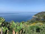Casa, BONASSOLA, 900.000 €, 280,00 mq