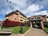 Affitto, Appartamento, BRUGHERIO, 800 €, 60,00 mq