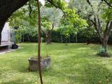 Appartamento, MONTEMURLO, 600.000 €, 260,00 mq