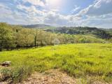 Particella, BAGNO A RIPOLI, 39.000 €, 27110,00 mq