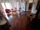 Affitto, Appartamento, MODENA, 708 €, 125,00 mq