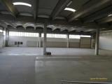 Affitto, Superfici commerciali, MONTEFORTE IRPINO, 5.000 €, 1200,00 mq