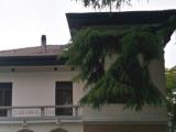 Casa, TREVISO, 990.000 €, 650,00 mq
